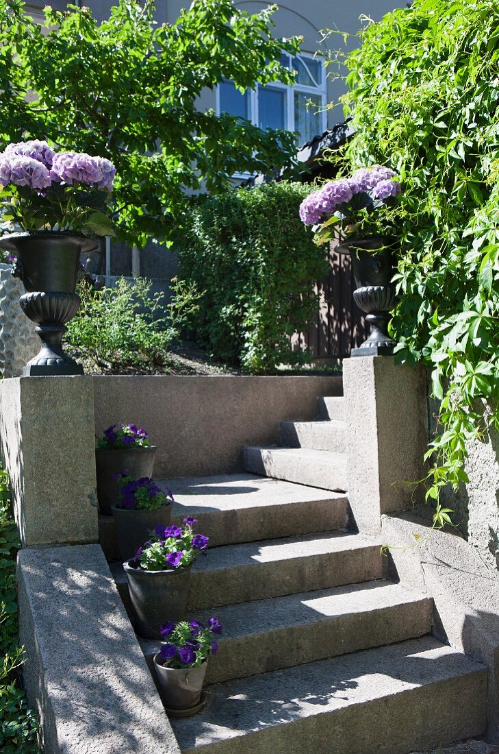 Gemauerter Treppenaufgang, auf Stufen und Brüstungsmauer Blumentöpfe