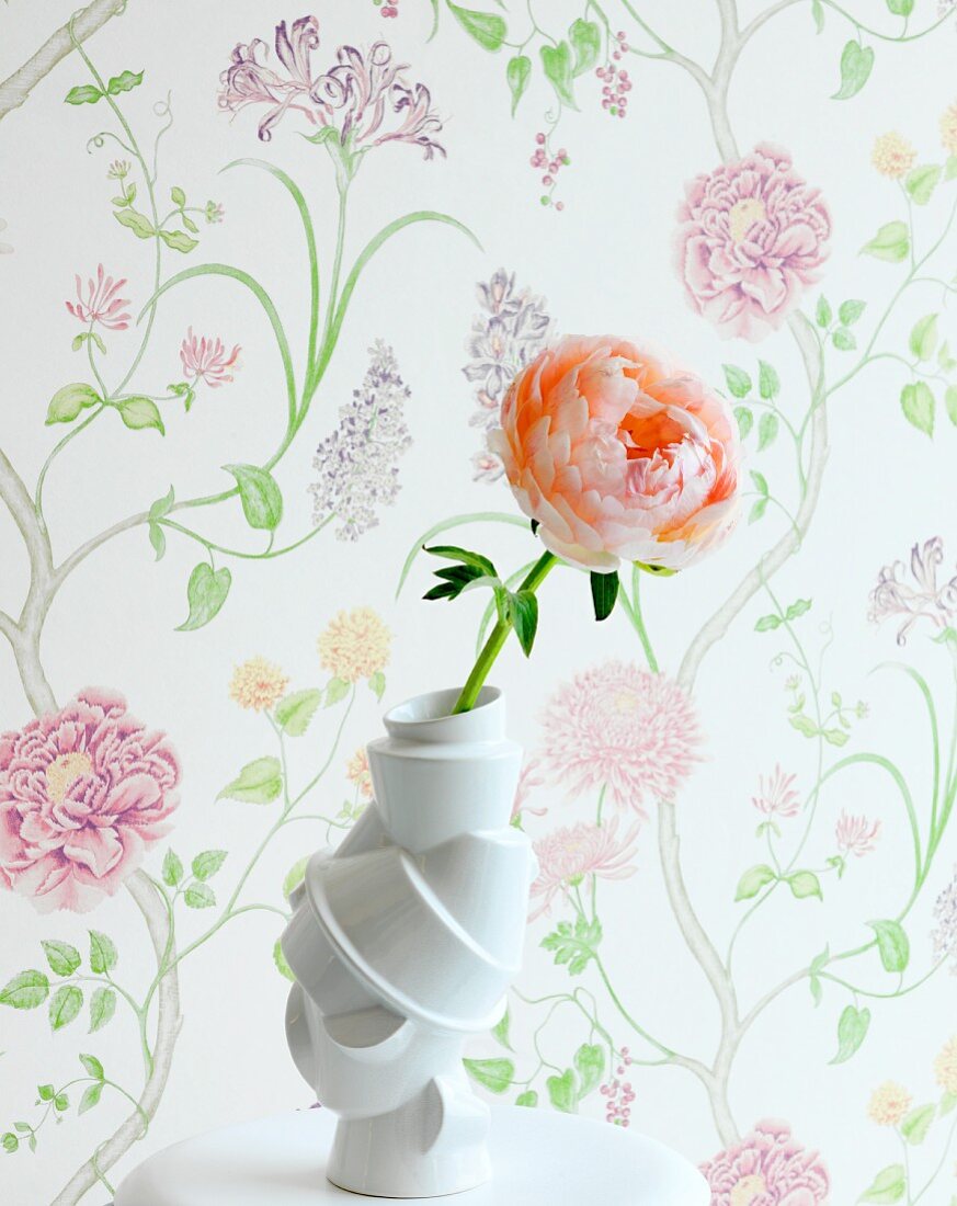 Apricotfarbene Rose in weisser Schnörkel Vase auf Ablage, vor Wand mit floral gemusterter Tapete in Pastelltönen