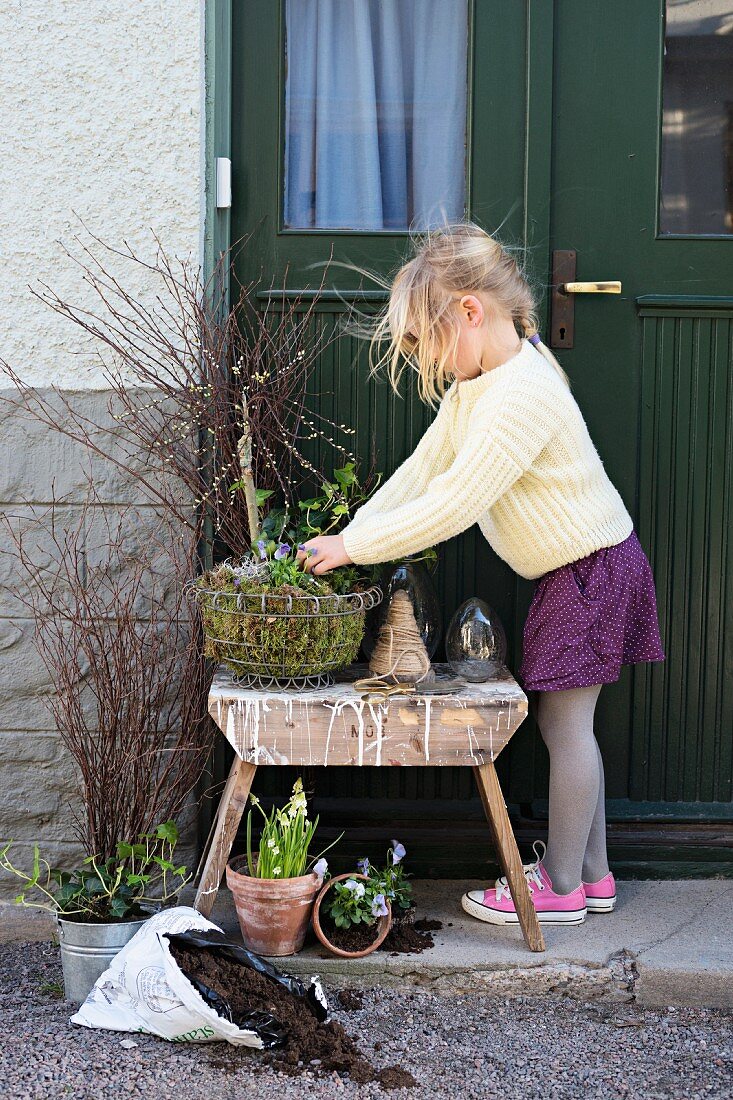 Mädchen beim Einpflanzen eines Drahtkorb-Gestecks mit Weidenkätzchen und Frühlingsblumen