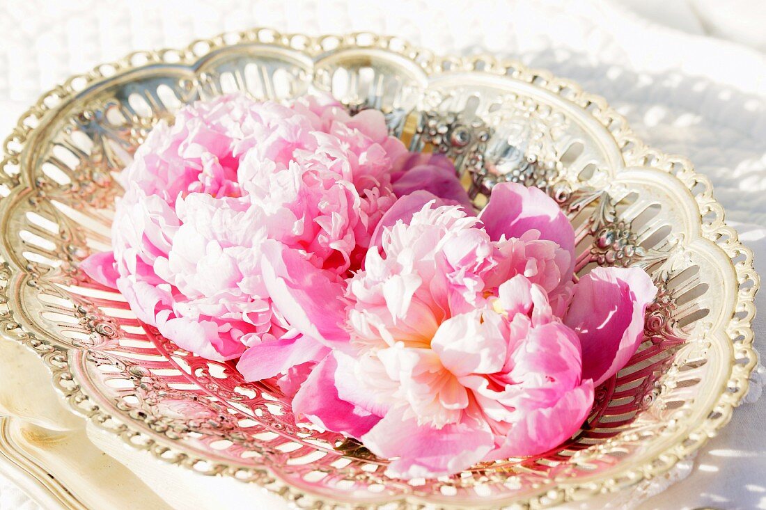 Pink peonies in antique silver dish
