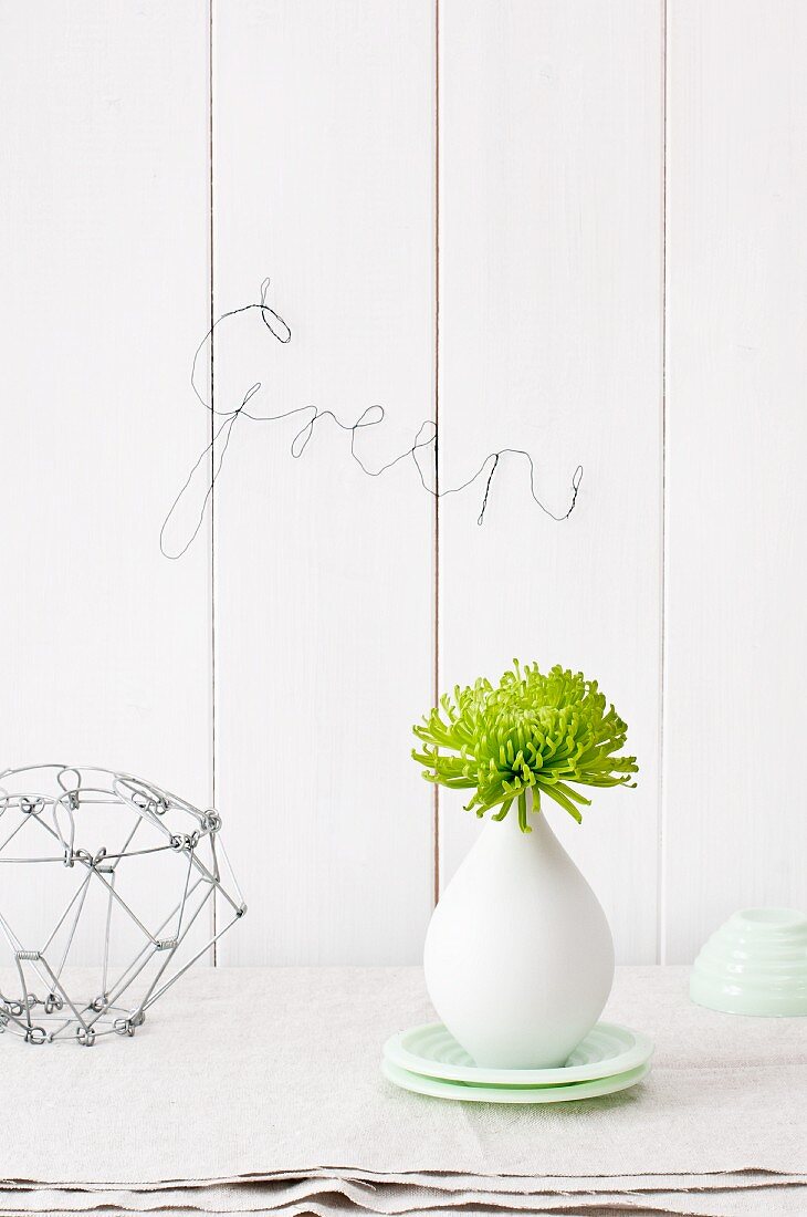 Green Chrysanthemum 'Anastasia' in white vase and bent wire spelling the word 'Green'