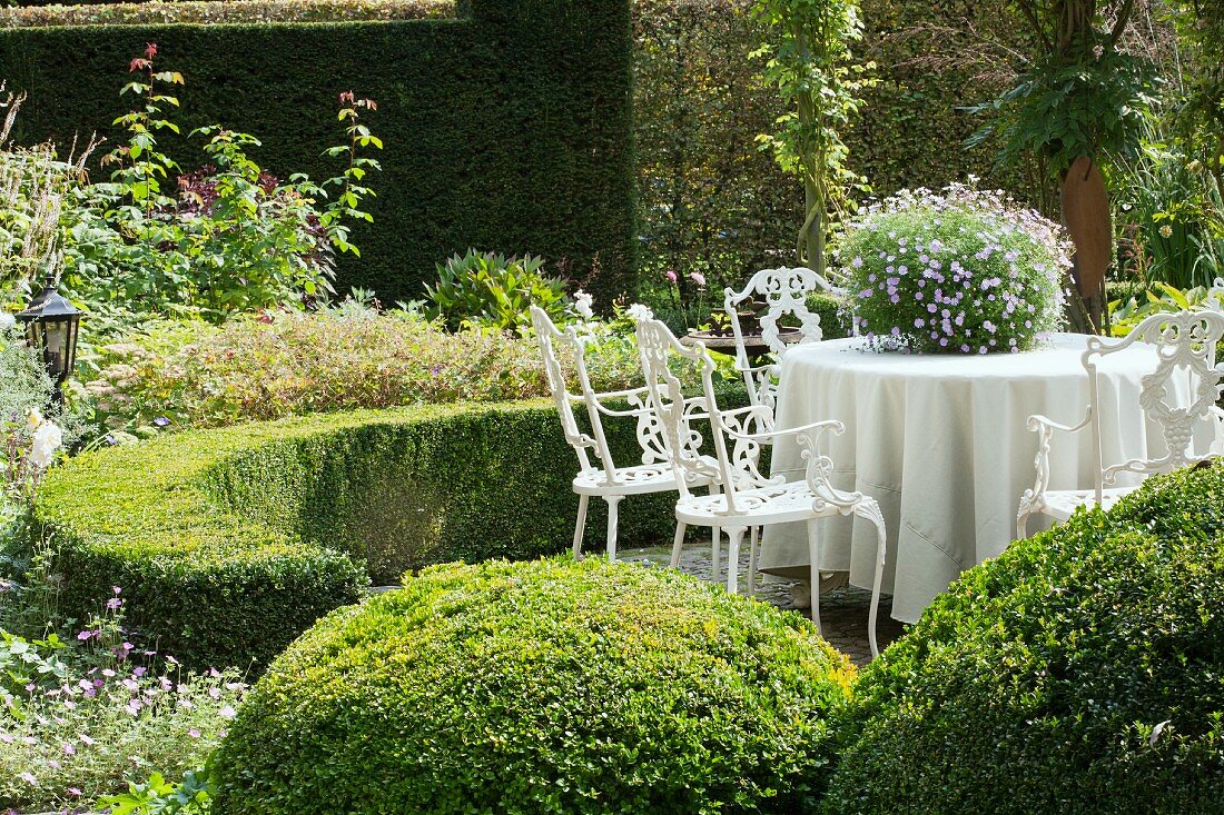 Seating area in garden; vintage-style metal chairs around table with tablecloth surrounded by low, curved hedge