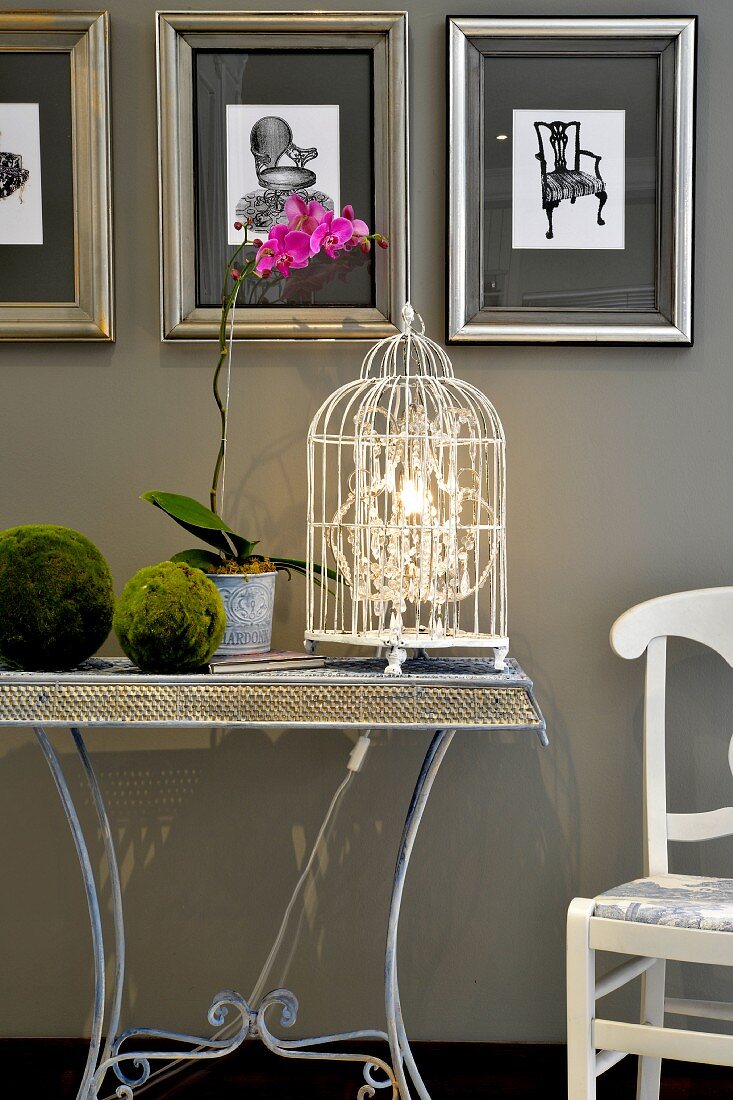 Crystal lamp in old birdcage, orchid and balls of moss on delicate side table with wire mesh top