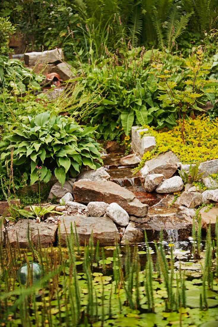 Waterfall lined with rocks falling into pond with aquatic plants