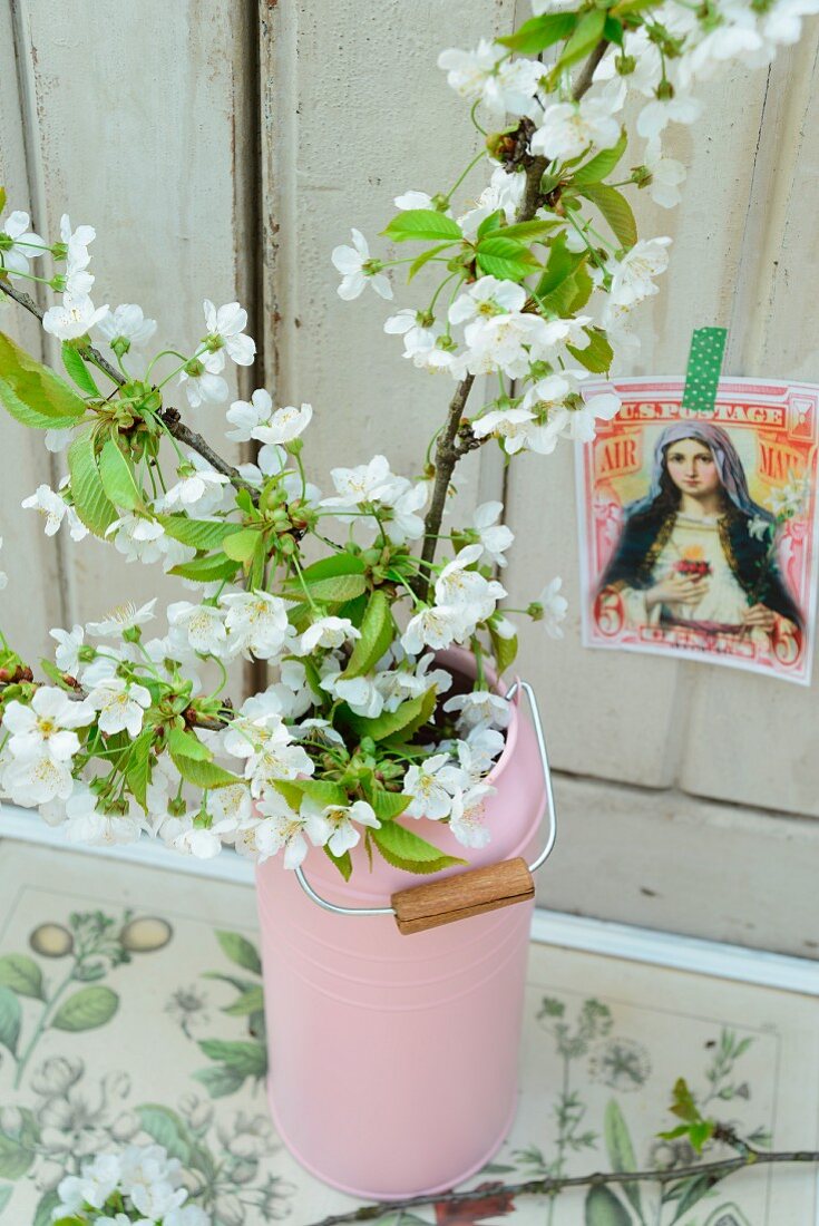 Wildkirschblütenzweige in rosa Milchkanne auf antiquarischem Pflanzenbuch, dahinter Postkarte mit Madonnenmotiv an weisser Holzwand