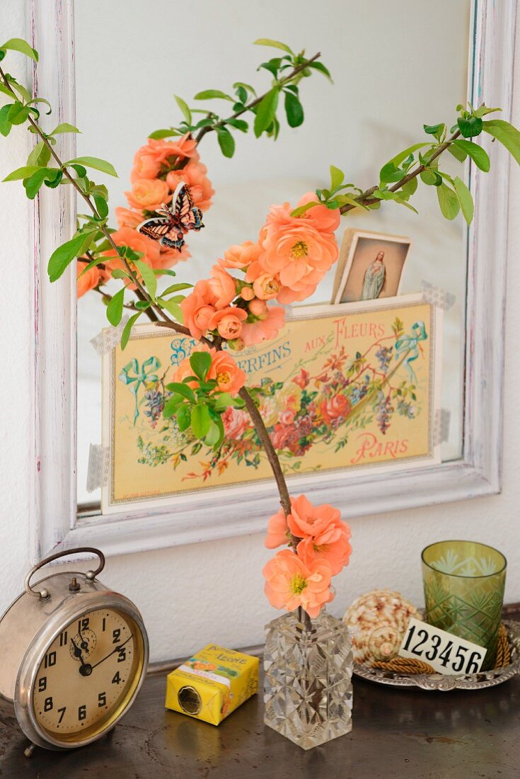 Blütenzweig der lachsfarbenen Zierquitte (Chaenomeles) in kleiner Kristallvase vor Spiegel mit nostalgischen Postkarten verziert, diverse Vintage Objekte auf Metallschrank