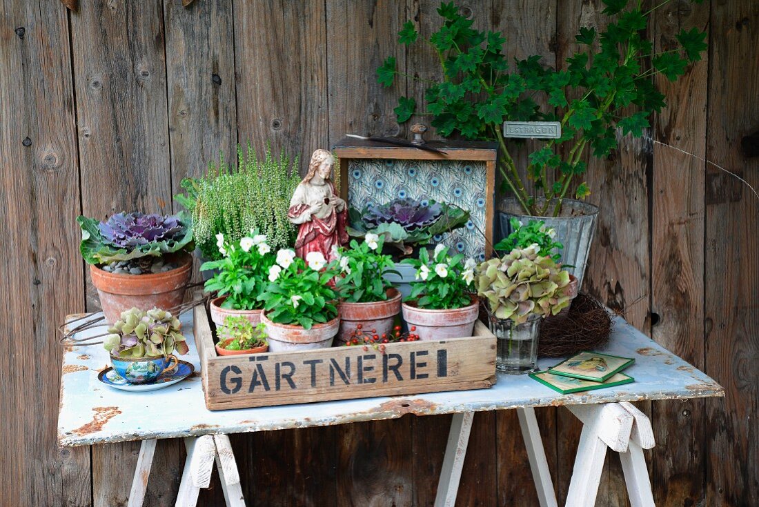 Autumnal arrangement - old wooden crate with antique Jesus figurine and various plants on rustic garden table made from old metal sign and wooden trestles against board wall