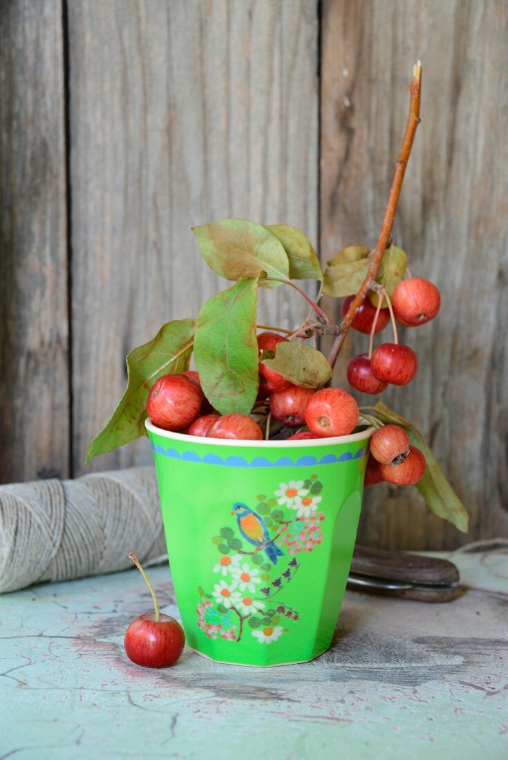 Branch of crab apples in green melamine beaker on patinated table in front of rustic board wall