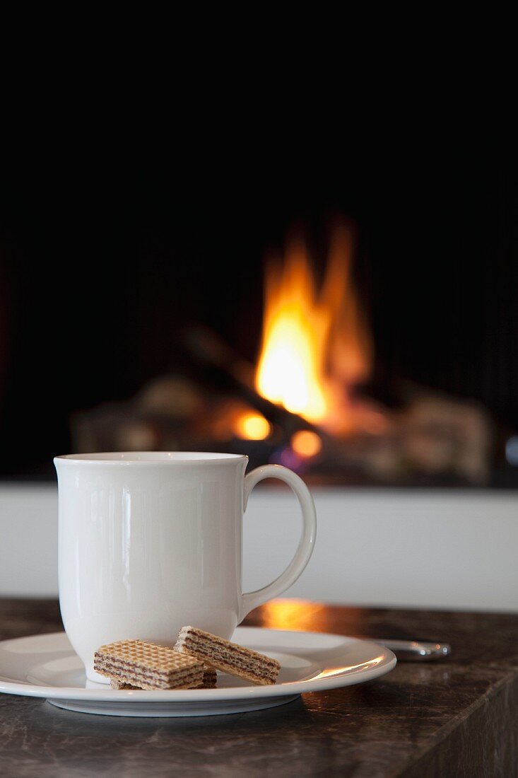White beaker and biscuits on saucer in front of fire in open fireplace