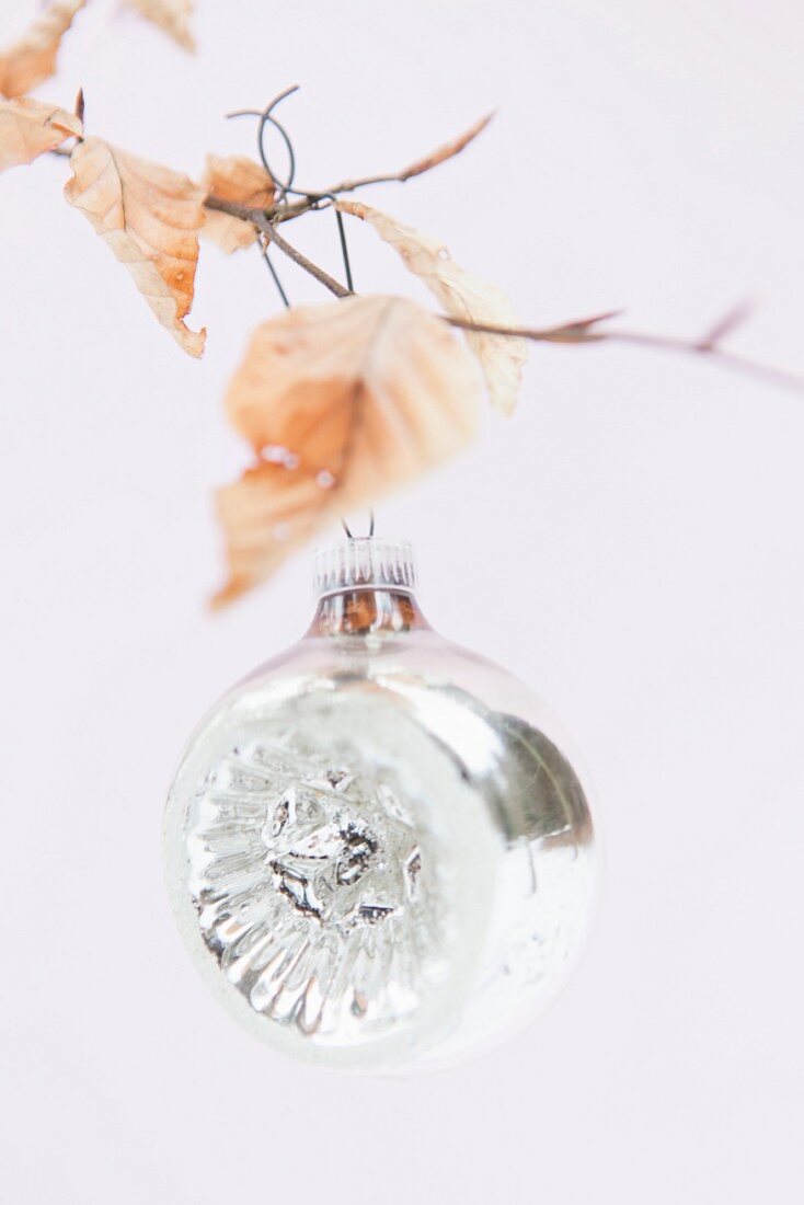 Silver Christmas bauble hanging from birch twig with dry leaves