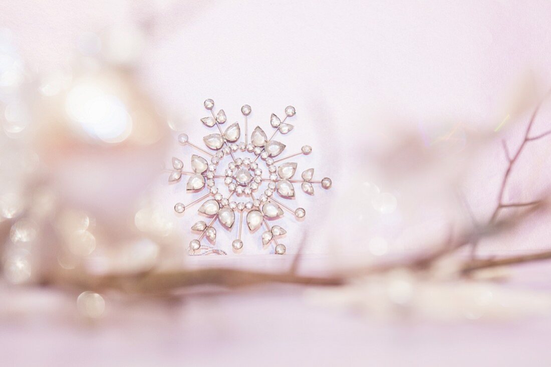 Delicate snowflake decoration on bare twig amongst blurred surroundings