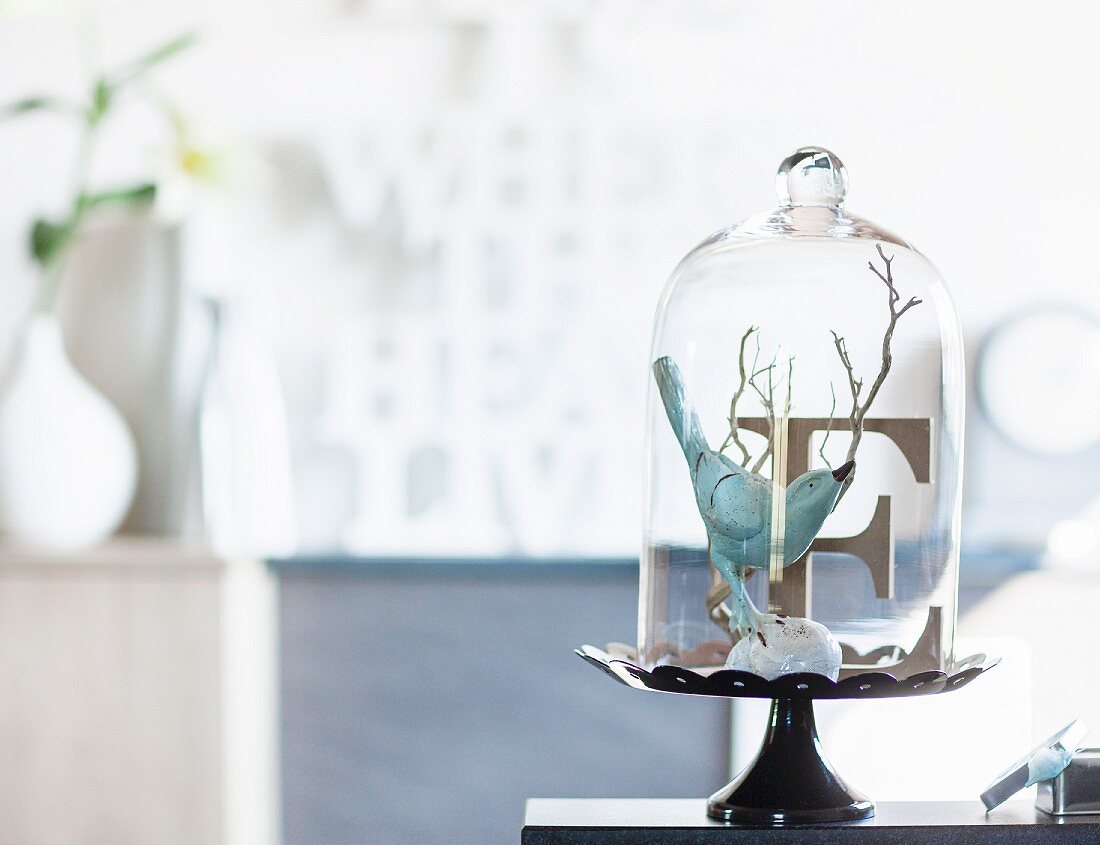 A decorative arrangement under a glass cloche featuring a bird and a letter