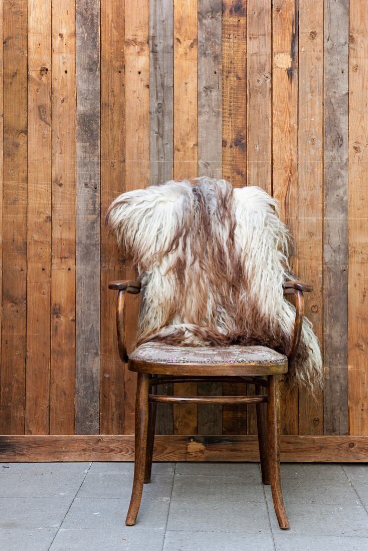 Antique bentwood chairs with sheepskin blanket against board wall