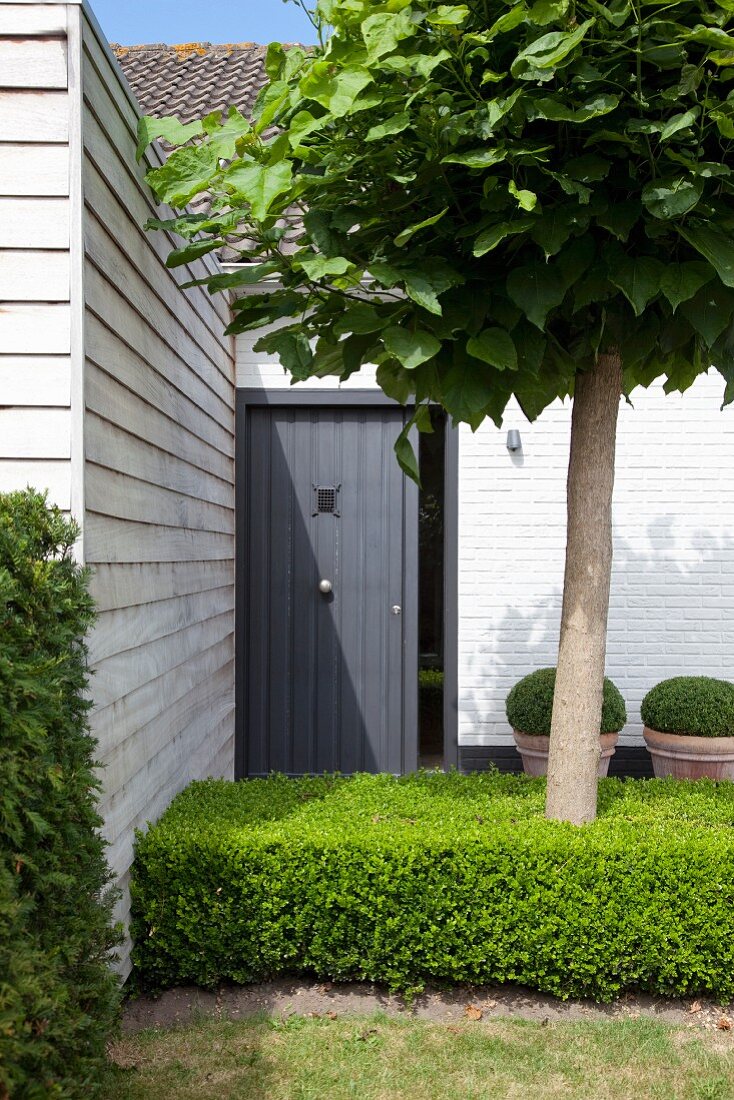 Dark grey sliding door and wood-clad extension in holiday home front garden with tree in clipped box hedge