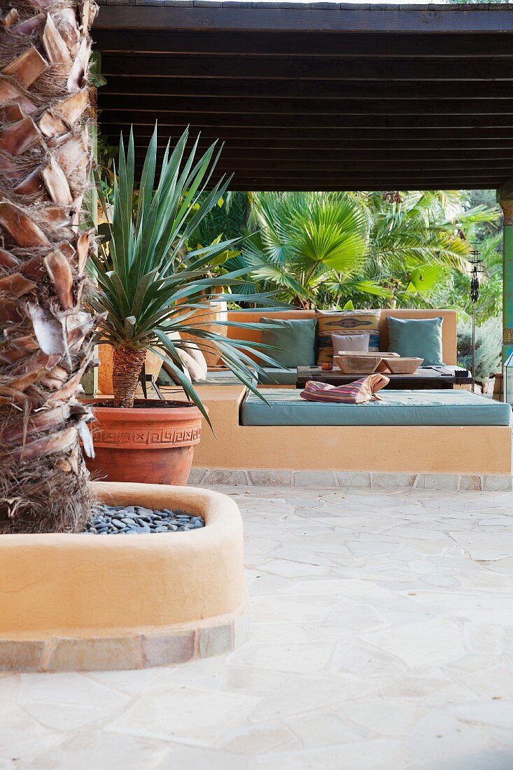 Palm trees on Mediterranean terrace with view of masonry benches