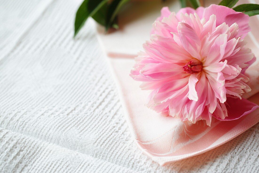 Peony on linen napkin decorating table (close-up)