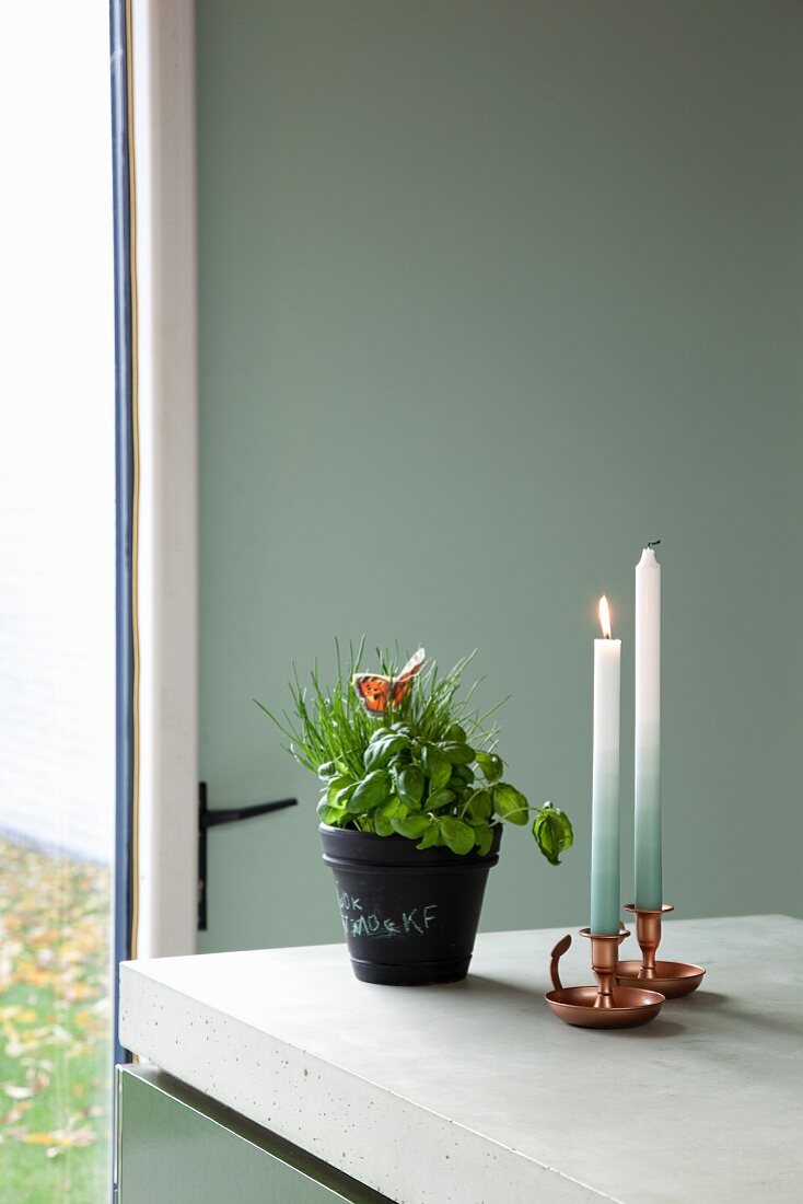 Potted herbs and lit candles in metal candlesticks