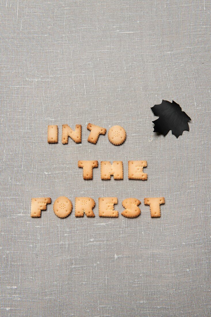 Mit Keks-Buchstaben gelegter Text -INTO THE FOREST- und aus schwarzem Papier ausgeschnittenes Ahornblatt auf grauem Leinenuntergrund