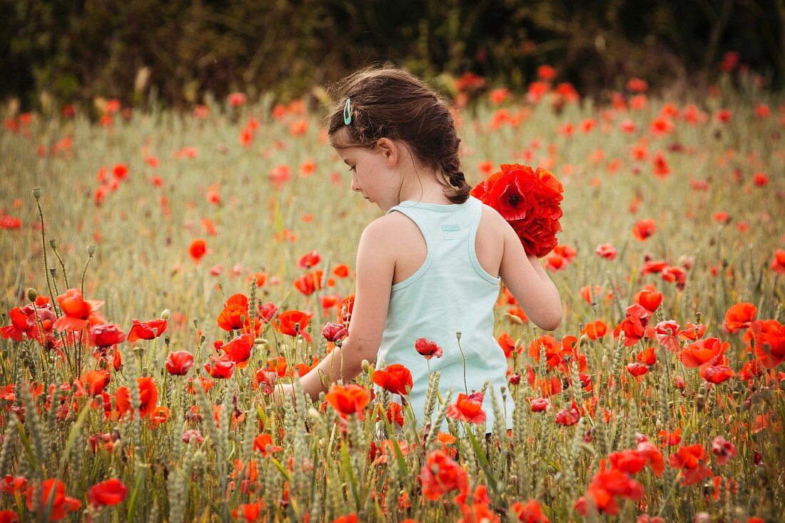Mädchen pflückt Mohnblumen im Weizenfeld