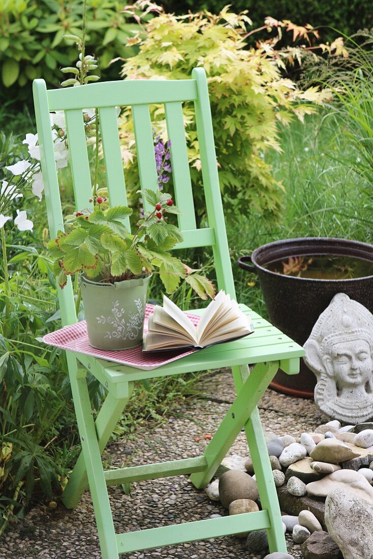 Potted raspberry bush and book on garden chair