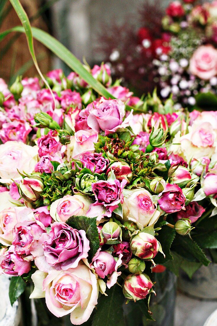 Several bouquets of spray roses