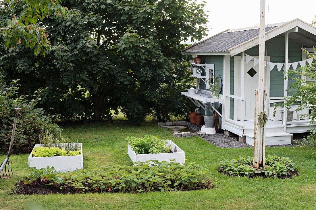 Gemüsebeete mit und ohne Holzeinfassung im Rasen neben schwedischem Gartenhaus