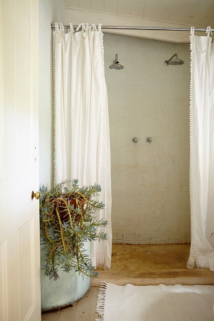 View through open door into rustic bathroom with walk-in shower, white shower curtain and pot of succulents to one side