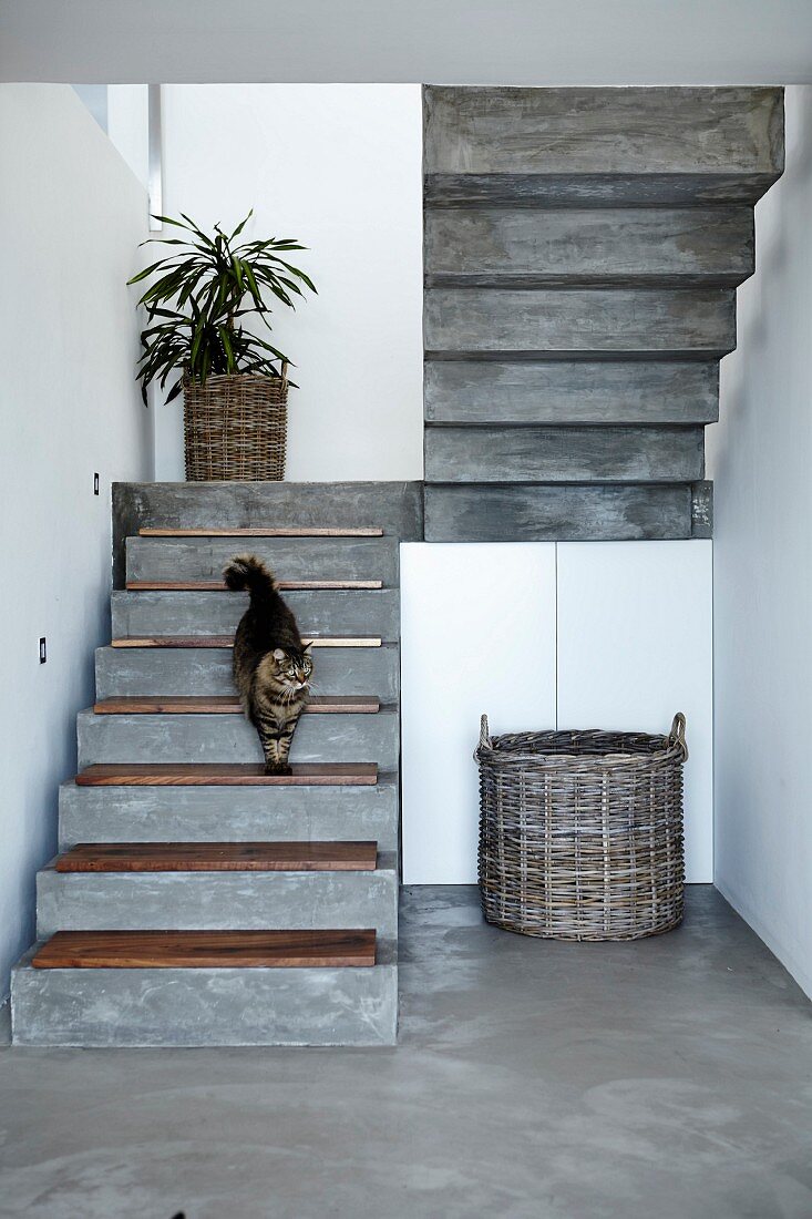 Concrete staircase with wooden treads; wicker basket in front of white fitted cupboards to one side