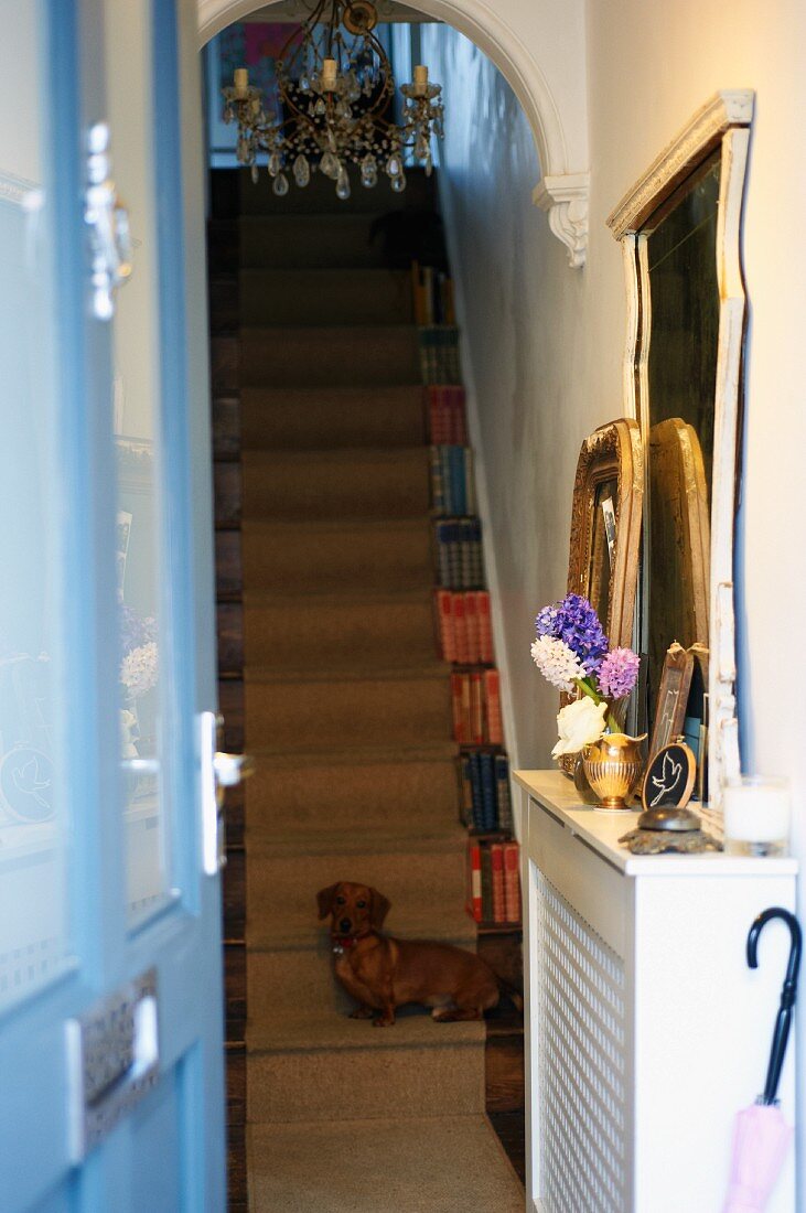 Blick durch offene Tür auf Treppenaufgang mit Kronleuchter und Hund