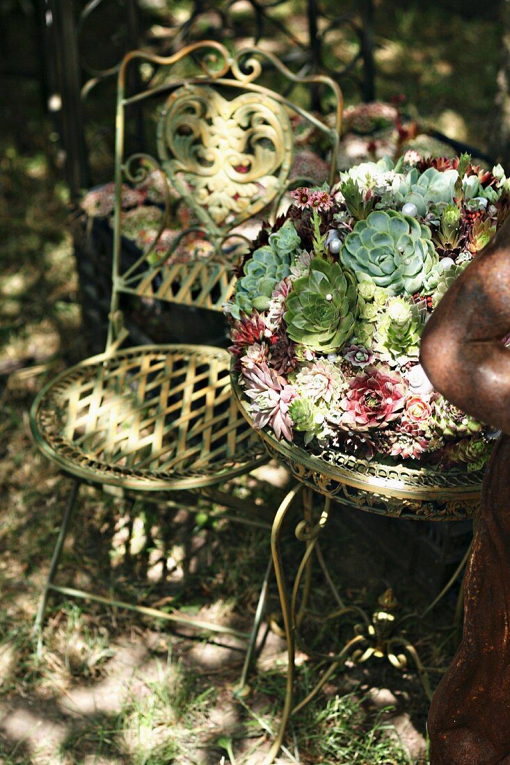 Gartenstuhl neben Metalltischchen bepflanzt mit Sempervivum