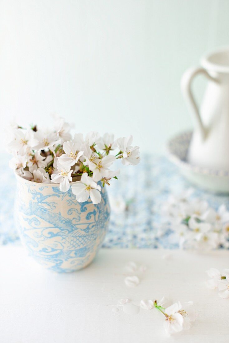 White cherry blossoms in vase