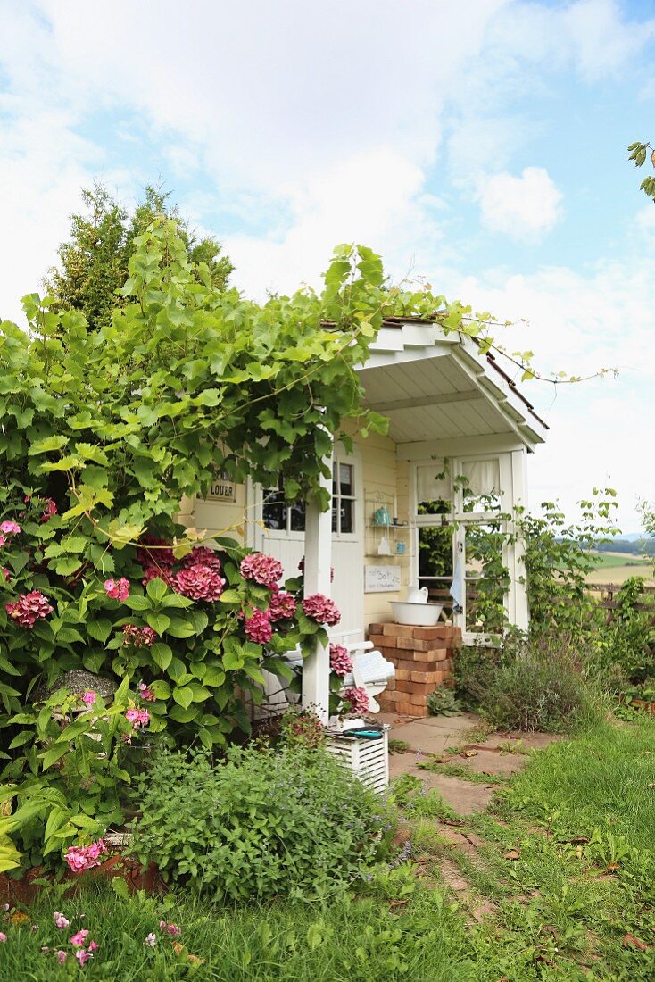 Romantisches Gartenhäuschen mit beranktem Vordach und Hortensienblüten unter blauem Himmel
