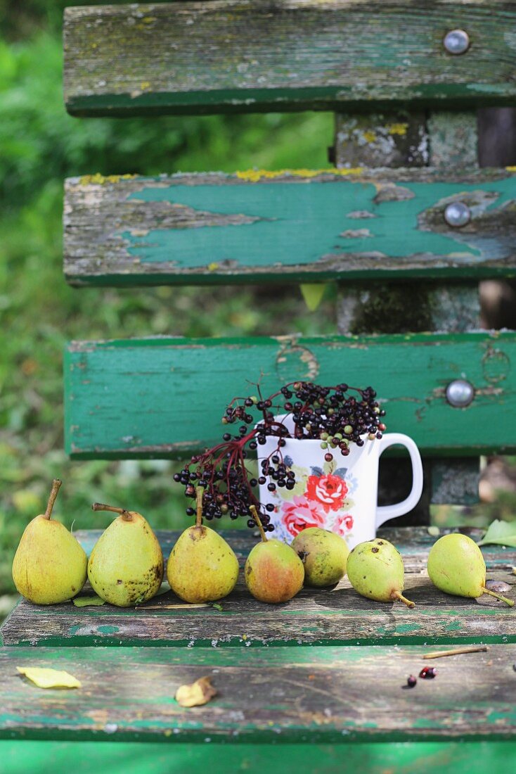 Aufgereihte Birnen und Tasse mit Holunderbeerenzweig auf verwitterter Holzbank