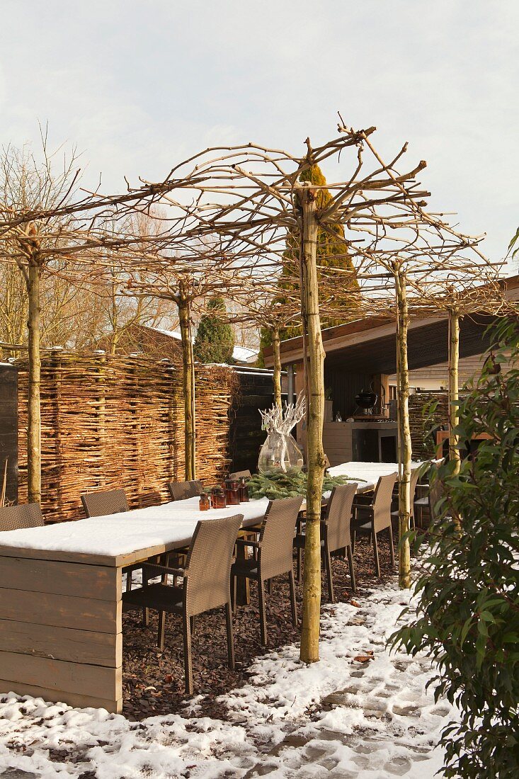 Chairs at long table under living pergola supported by tree trunks in wintery courtyard
