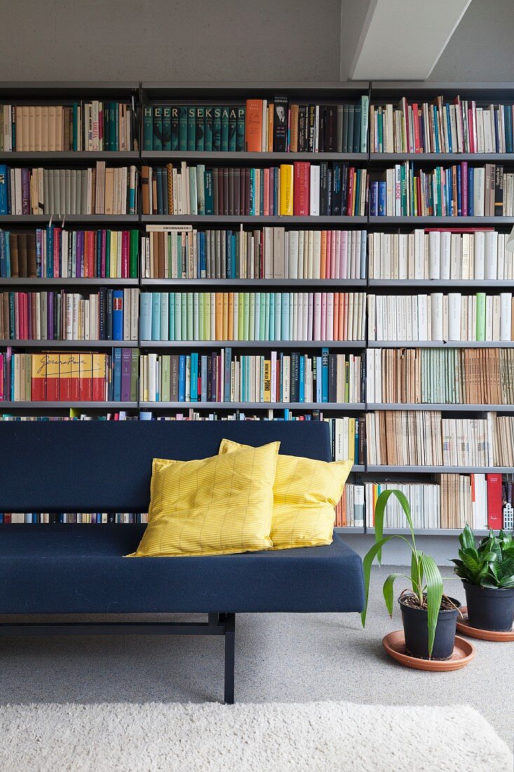 Couch mit gelben Kissen und Grünpflanzen auf Boden vor Bücherwand