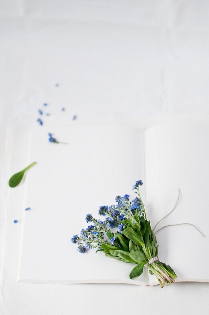 Posy of forget-me-nots lying on open book with blank pages