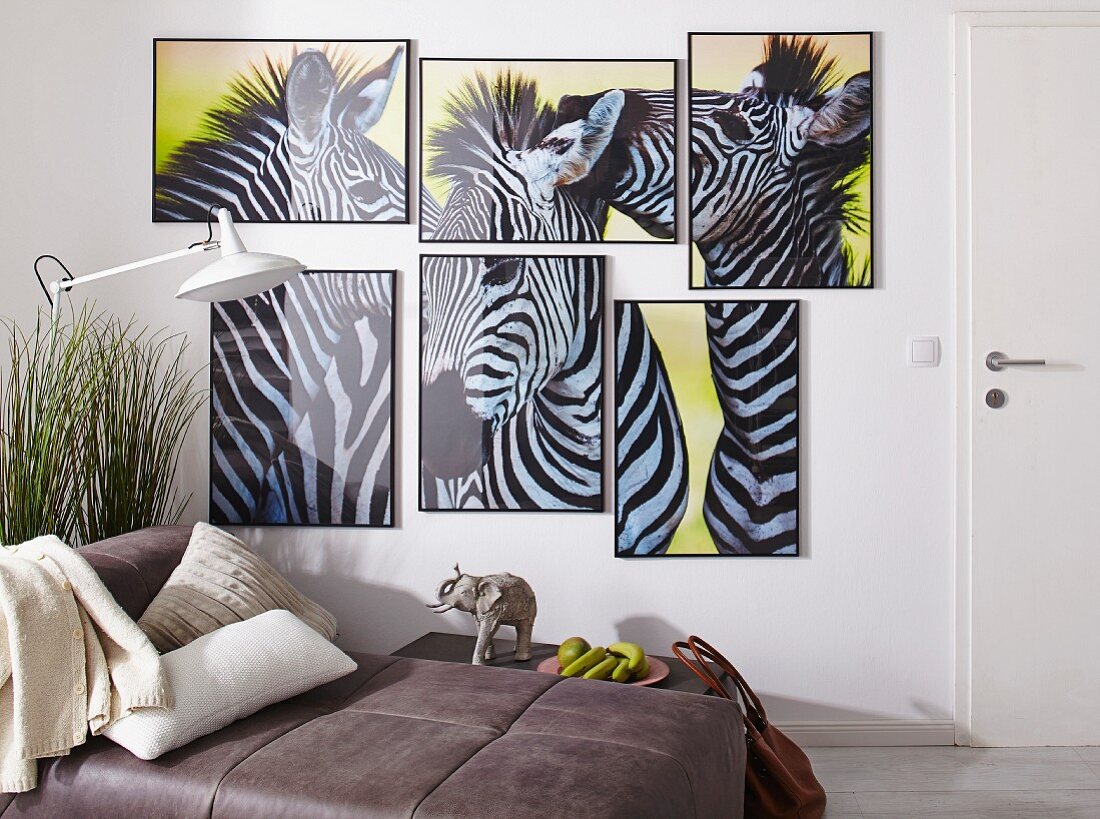 Poster with zebra motifs arranged as African collage in multiple, small picture frames