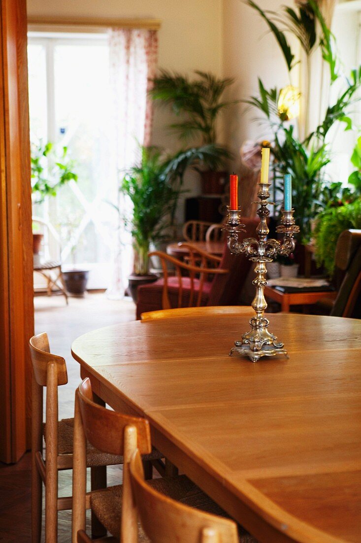 Silber Kerzenleuchter mit farbigen Kerzen auf Holztisch, im Hintergrund Palmen im Topf
