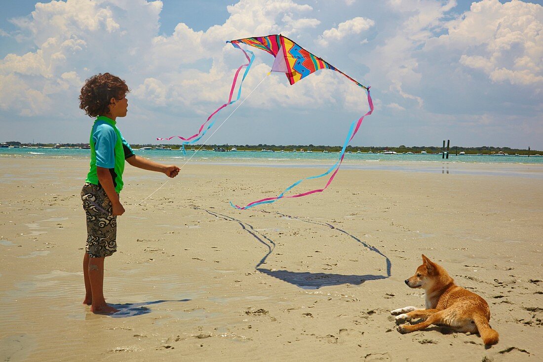 Junge lässt einen Drachen steigen am Strand