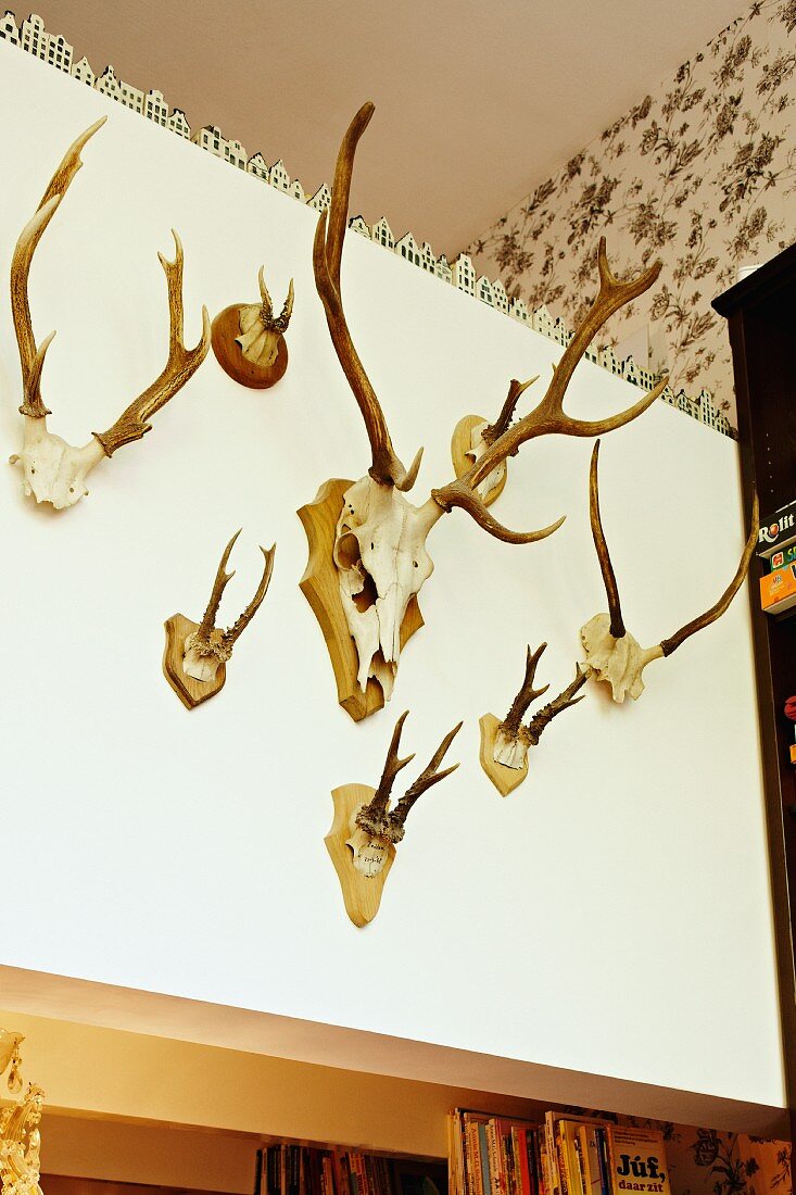 Antlers of different sizes on mezzanine balustrade wall with row of small house ornaments on top