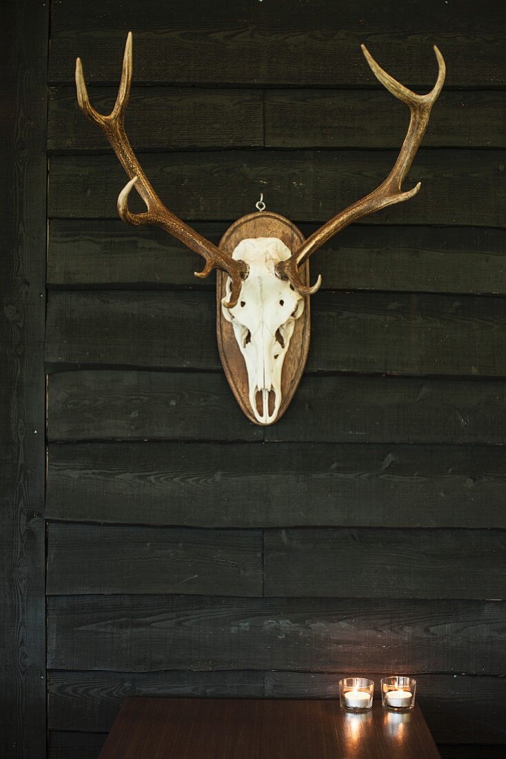 Stag's antlers on dark wooden wall above two tealights on table