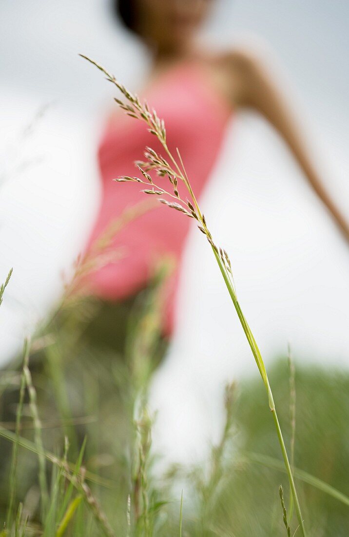 Frau schlendert durch Wiese mit hohem Gras