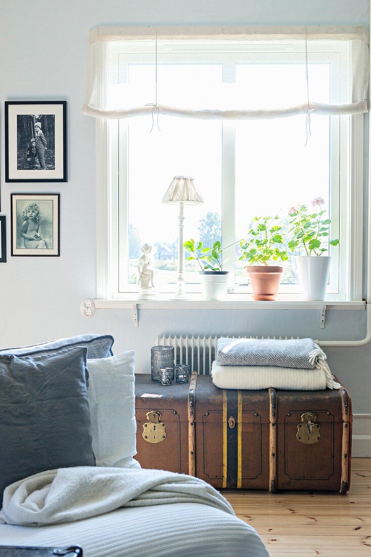 Blick über Sofa auf alte Truhe aus Leder vor Fenster, mit Tischleuchte und Blumentöpfen auf Fensterbank