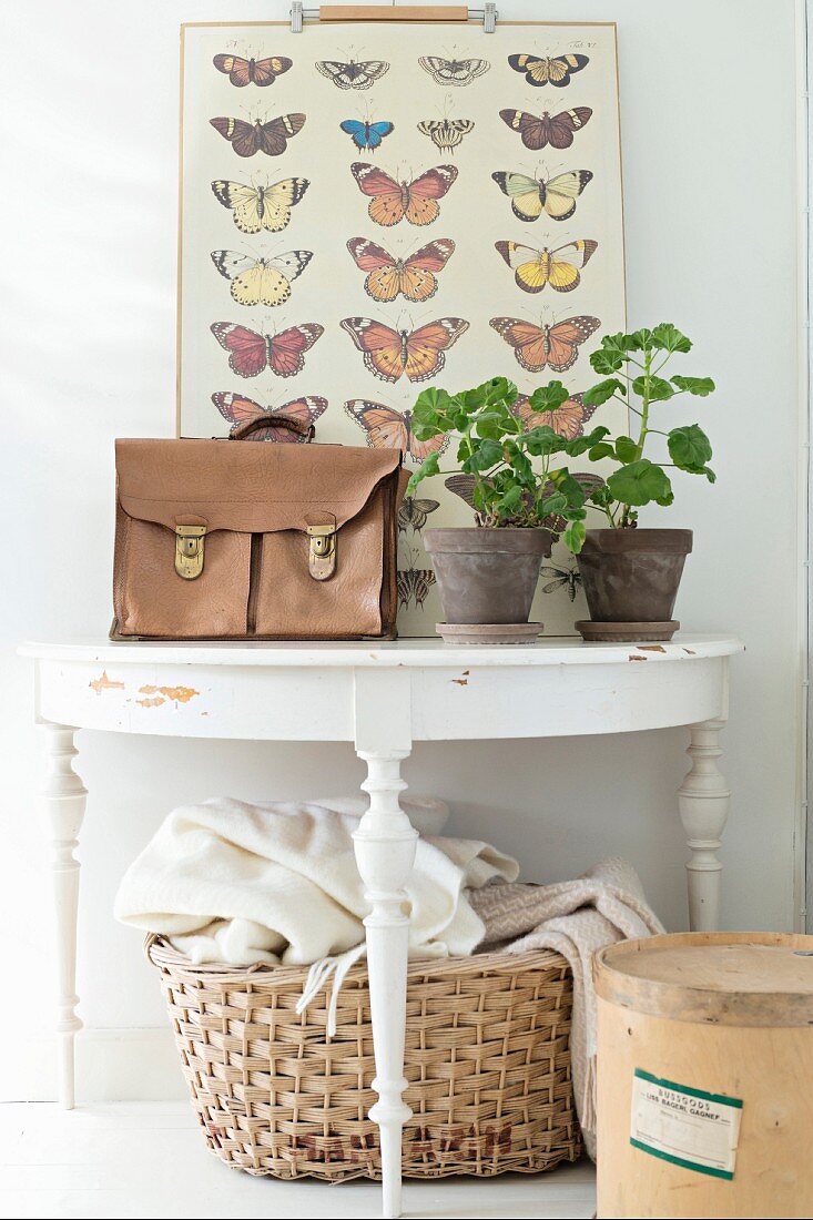 Old briefcase, potted geraniums and butterfly illustrations on semicircular console table painted white above laundry basket