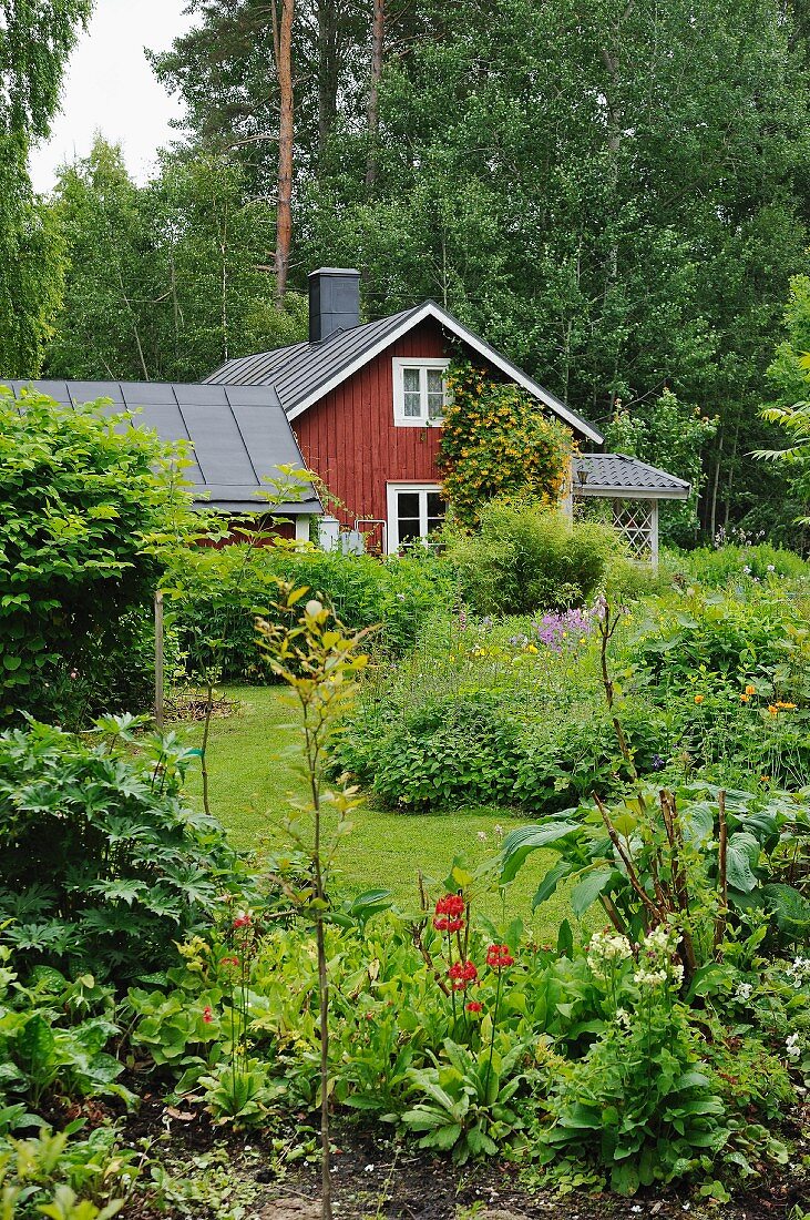 View of wooden house from summer garden with flowering plants