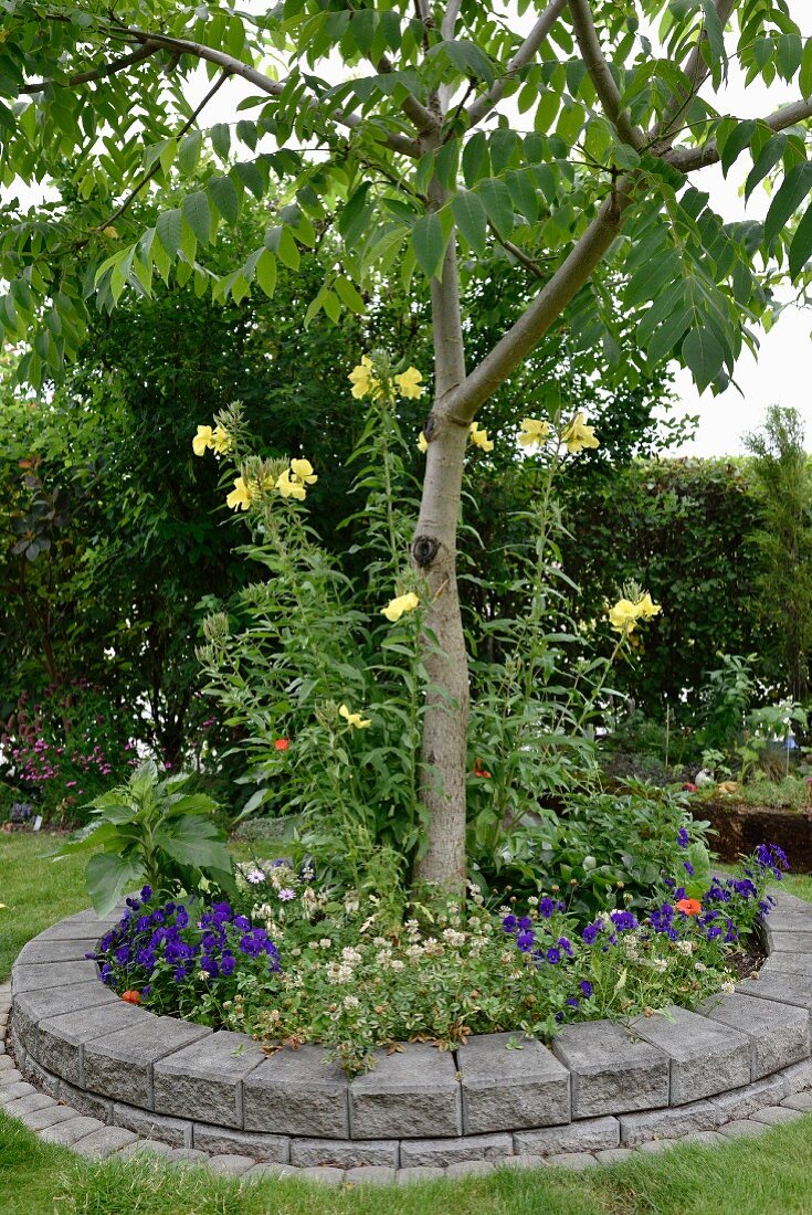 Baum in rundem Beet mit Steineinfassung, im Garten