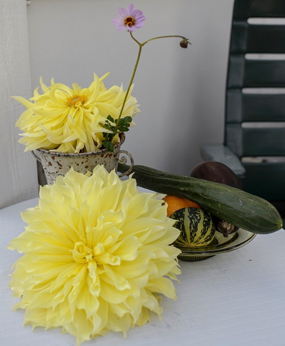 Gelbe Dahlienblüten und Schale mit geerntetem Gemüse auf Tisch