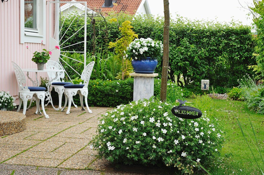 Bush with white flowers next to terrace with white-painted metal chairs and table