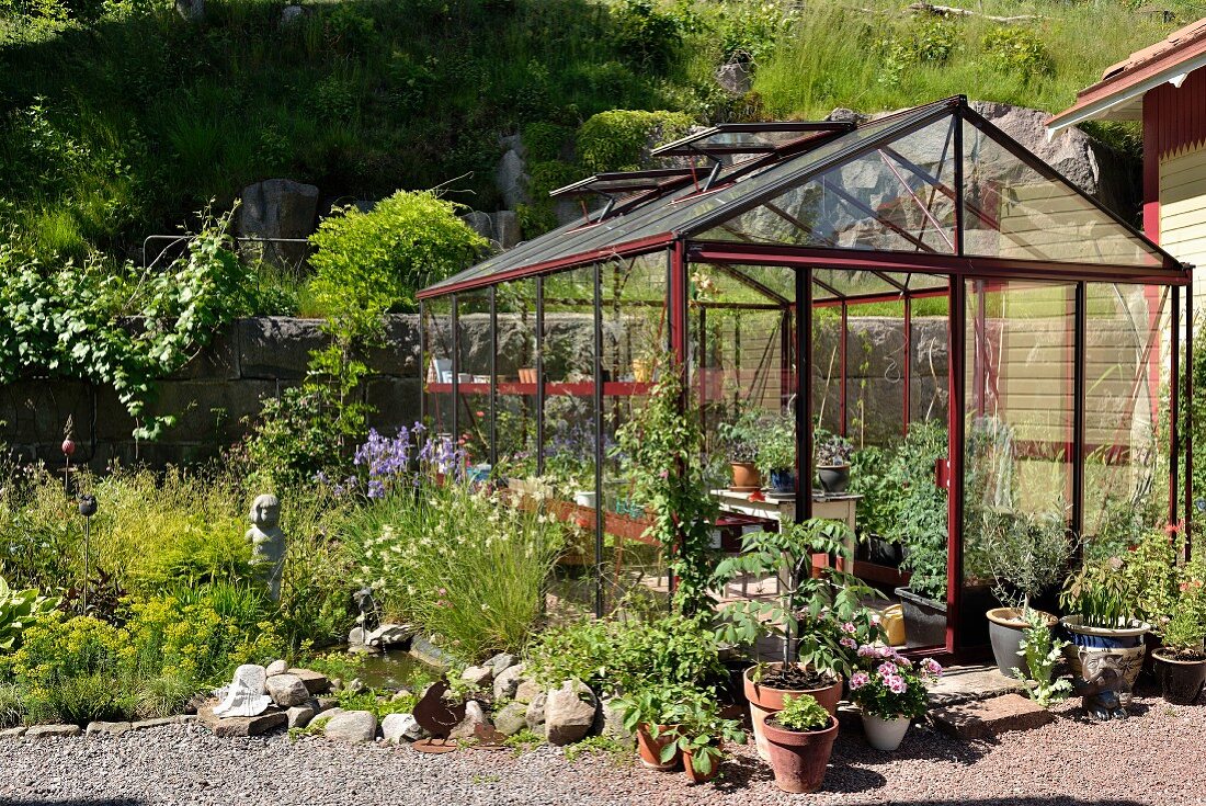 Gewächshaus in sommerlichem Garten mit bepflanzten Blumentöpfen und kleinem Gartenteich