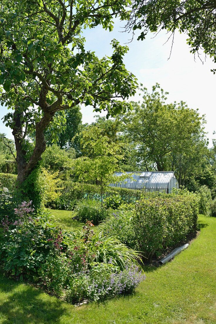 Beet und mit Hecke eingezäunter Bereich in sommerlichem Garten